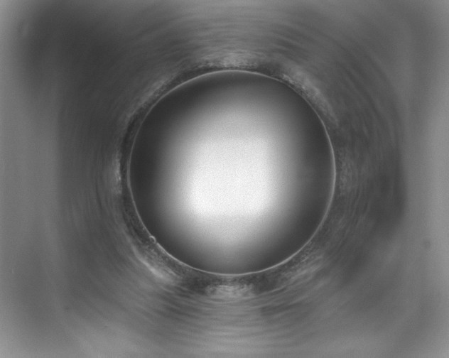 X0000076240251200609281147