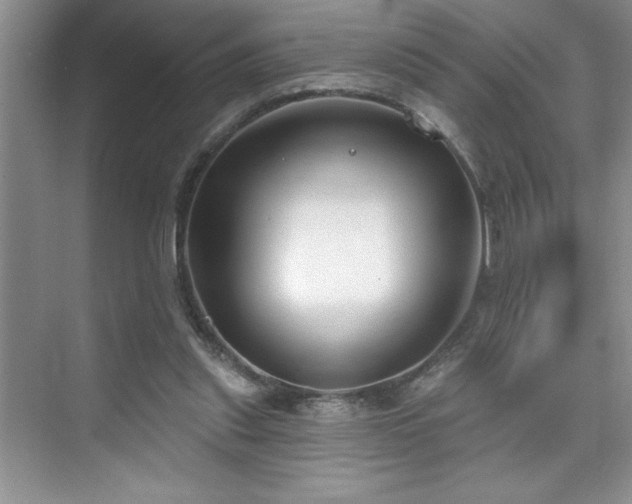X0000076240253200609281147
