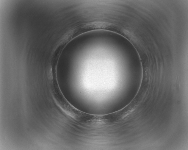 X0000076240254200609281147