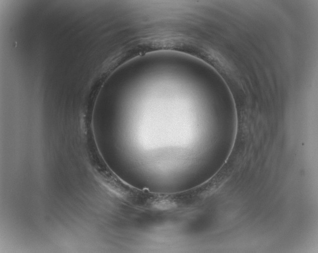 X0000076240258200609281147