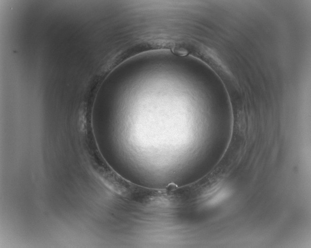 X0000076240259200609281147