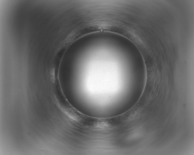 X0000076240262200609281148