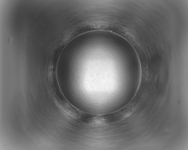 X0000076240263200609281148