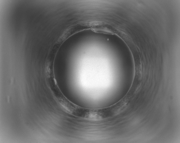 X0000076240264200609281148