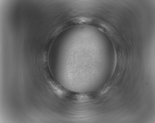 X0000076240284200609281148
