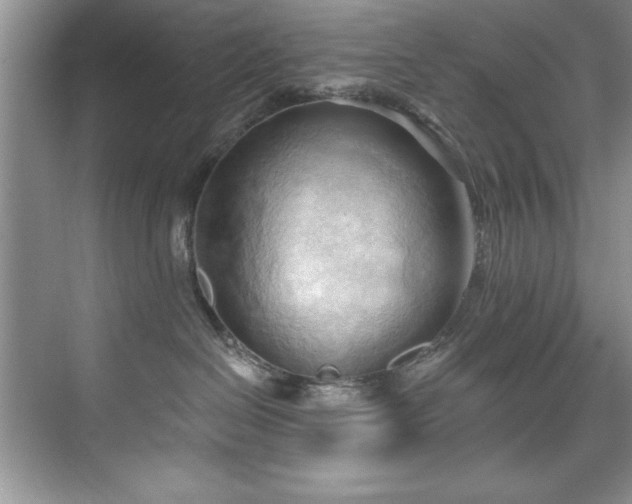 X0000076240286200609281148