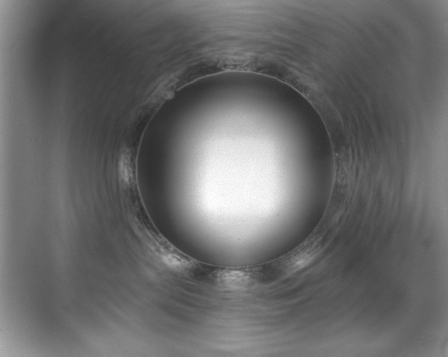 X0000076240287200609281148