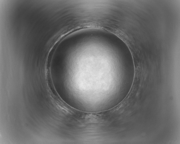 X0000076240290200609281147