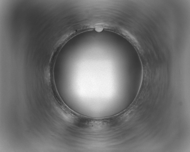 X0000076240298200609281147