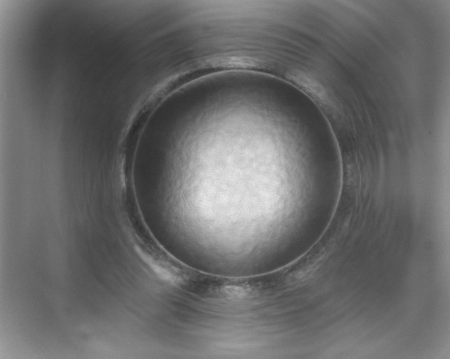 X0000076240302200609281147