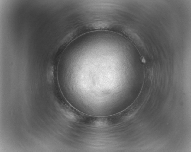 X0000076240308200609281147