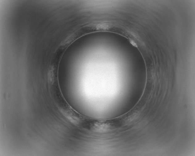 X0000076240311200609281147