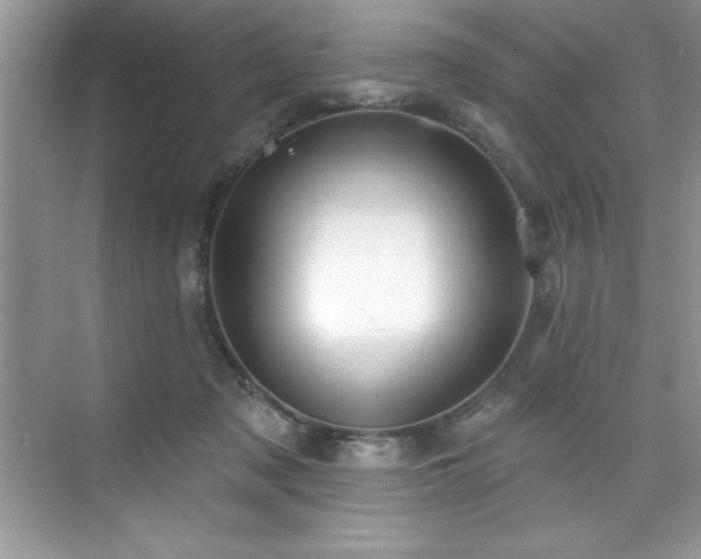 X0000076240317200609281147