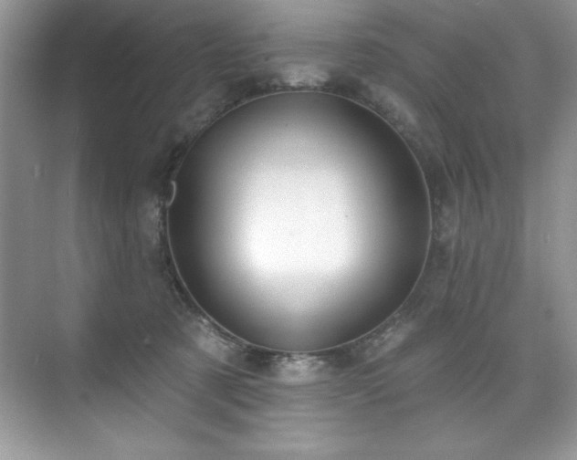 X0000076240321200609281147