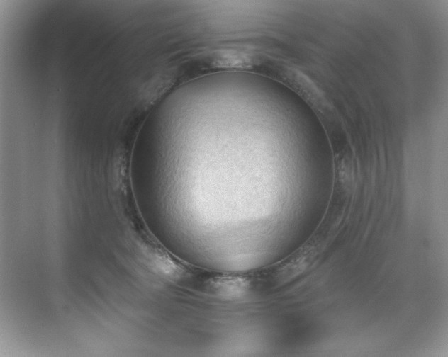 X0000076240322200609281147