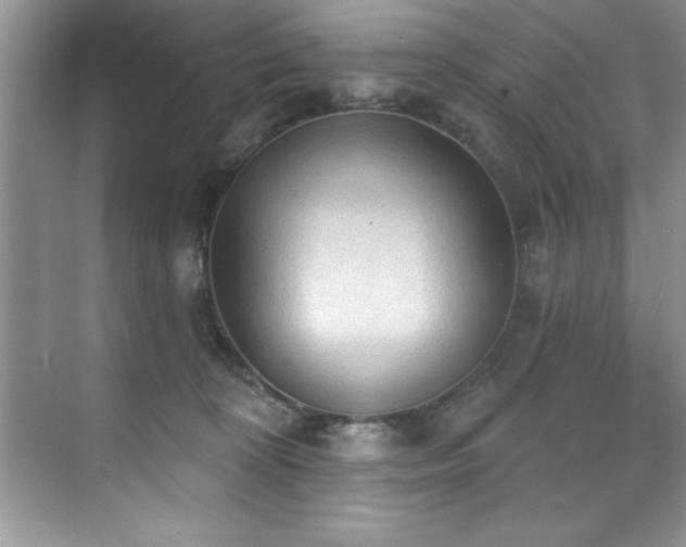 X0000076240324200609281147