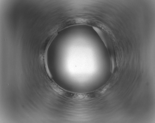 X0000076240329200609281146