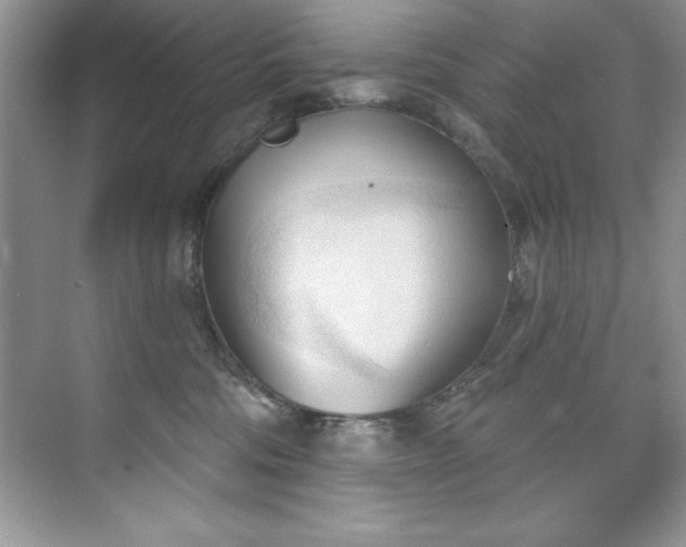 X0000076240330200609281146