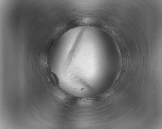 X0000076240331200609281146