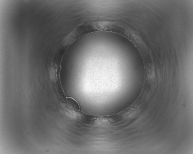 X0000076240332200609281146