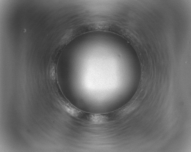X0000076240336200609281146