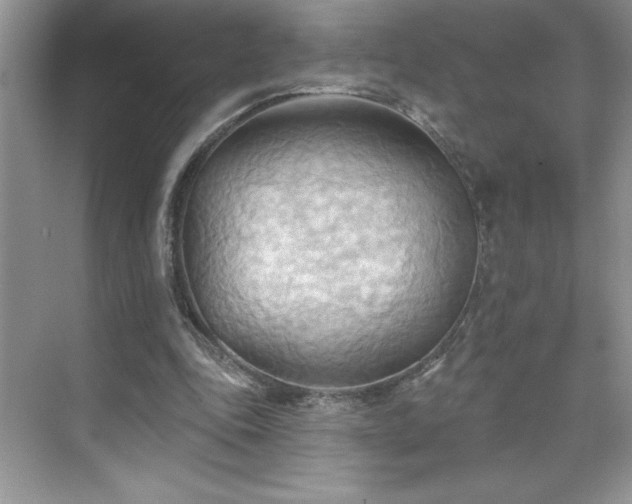 X0000076240343200609281146