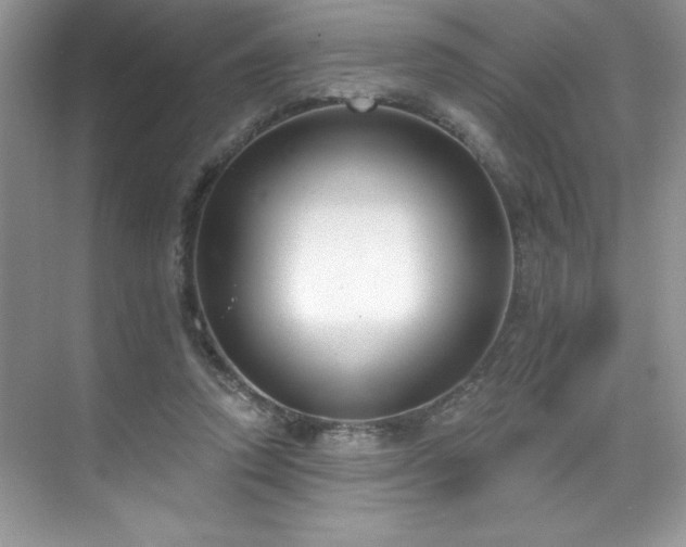 X0000076240354200609281146