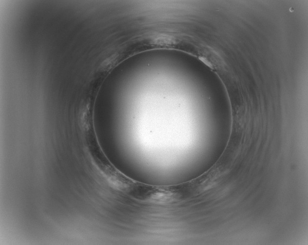 X0000076240364200609281146