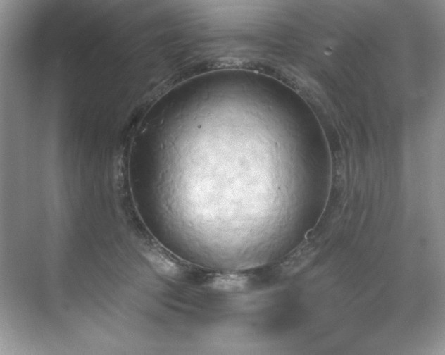 X0000076240369200609281146