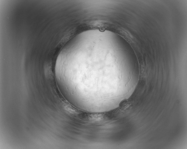 X0000076240377200609281146