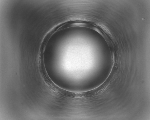 X0000076240388200609281145