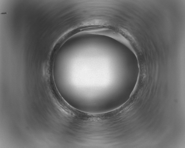 X0000076240392200609281145