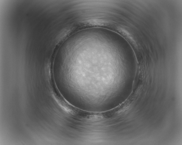 X0000076240398200609281145