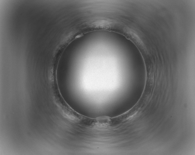 X0000076240403200609281145