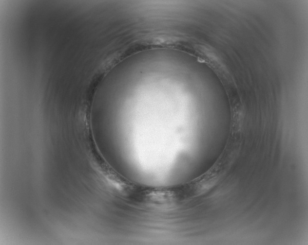 X0000076240415200609281145