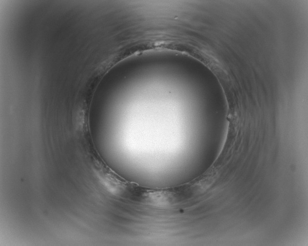 X0000076240417200609281145