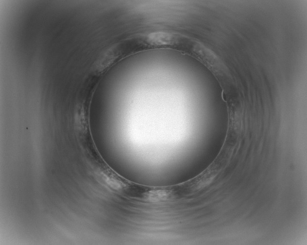 X0000076240418200609281145