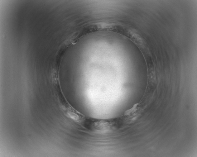 X0000076240419200609281145