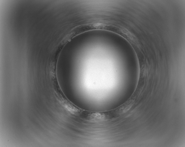 X0000076240421200609281145