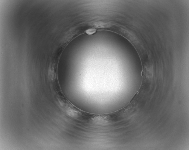 X0000076240422200609281145