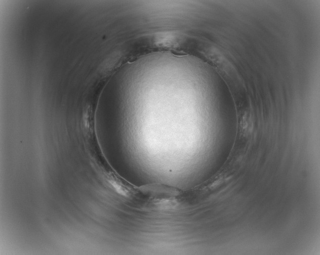 X0000076240424200609281145