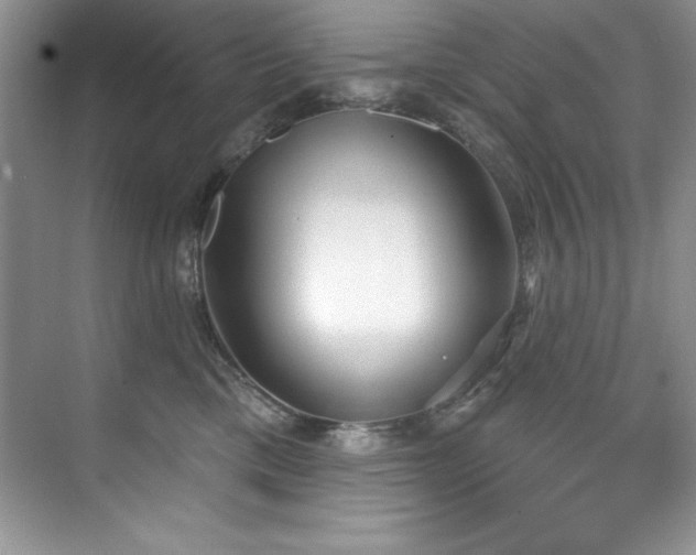 X0000076240425200609281145