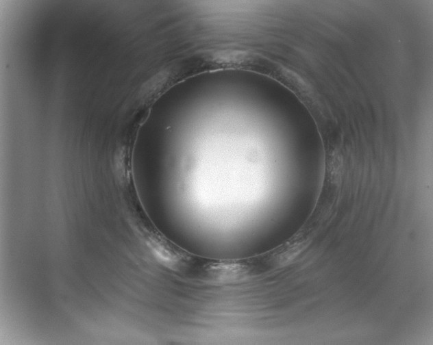 X0000076240428200609281145