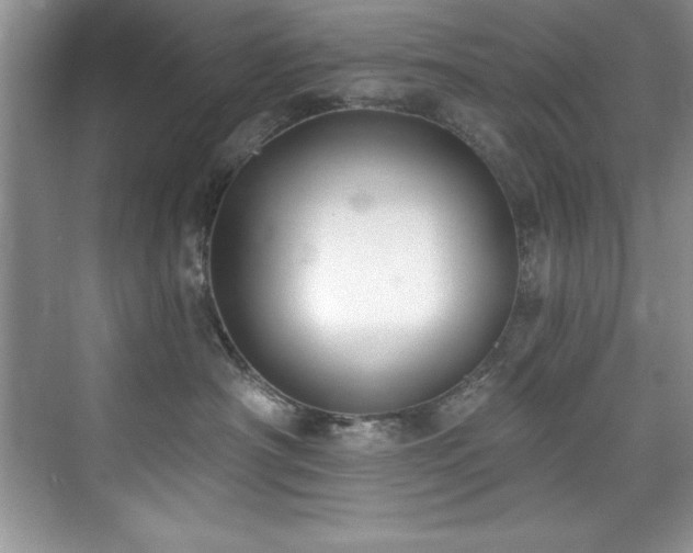 X0000076240430200609281145