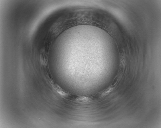 X0000076240431200609281145