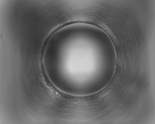 X0000076240434200609281144