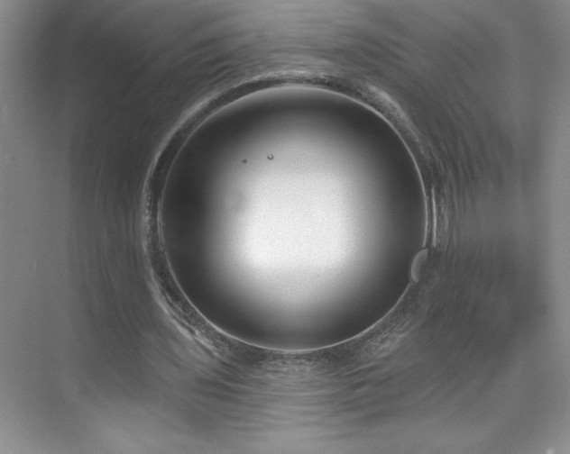 X0000076240435200609281144