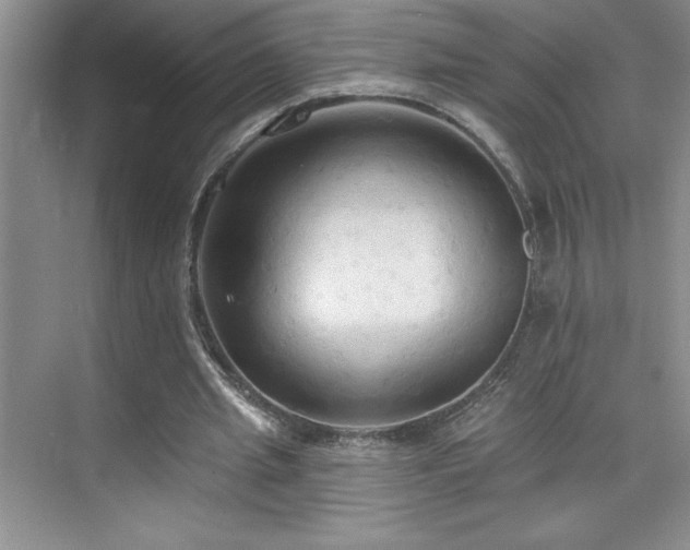 X0000076240437200609281144