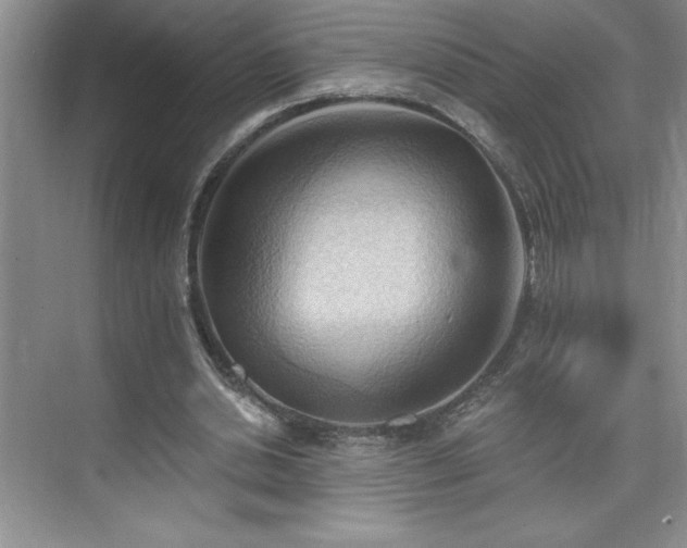 X0000076240438200609281144