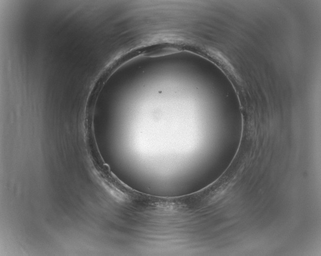 X0000076240439200609281144